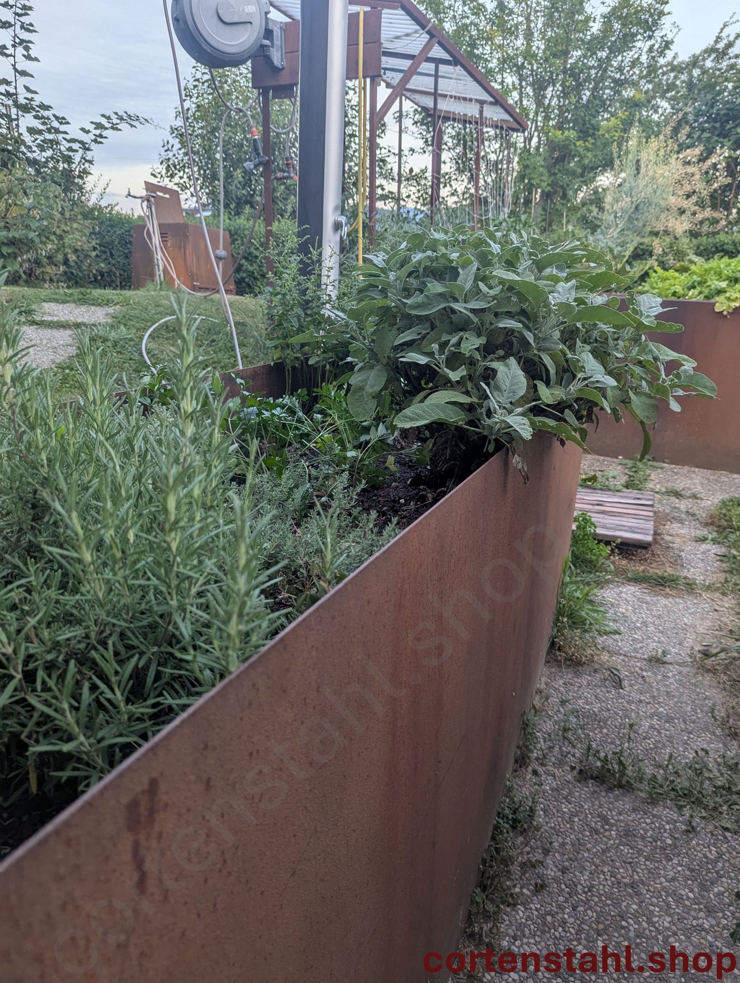 Kräuterbeet