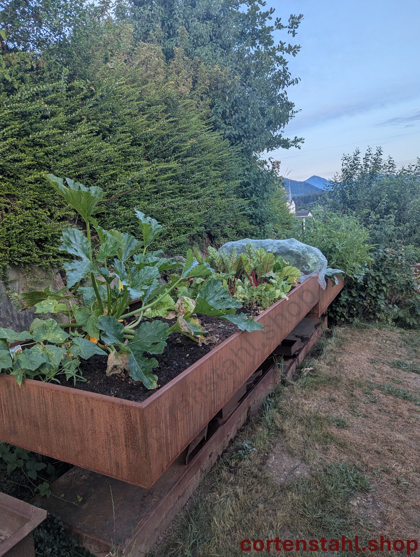 Schneckenfreies Hochbeet